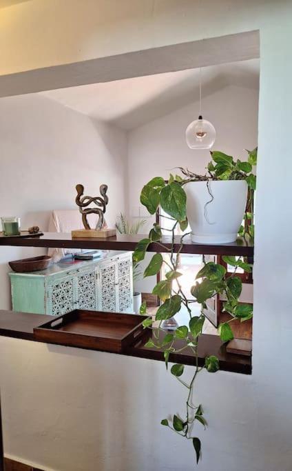 GuatizaCocorelax 2 Otro Lugar De Relax En Lanzarote公寓 外观 照片